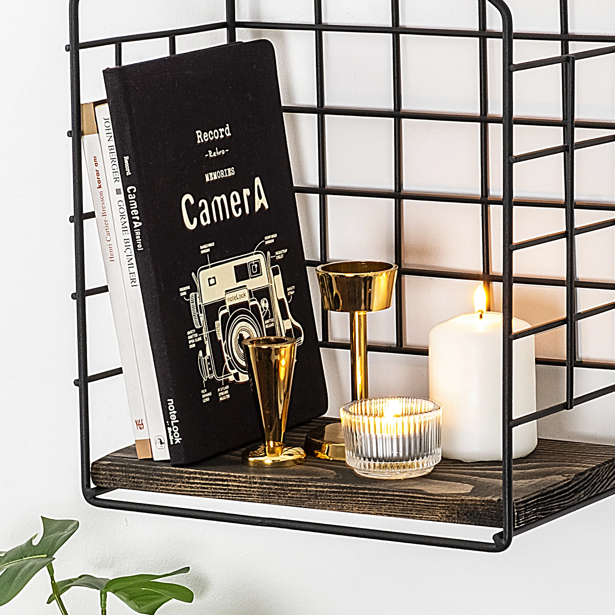 Raft muri Hanah Home, Ranunculus, ngjyrë e zezë dhe arre e errët