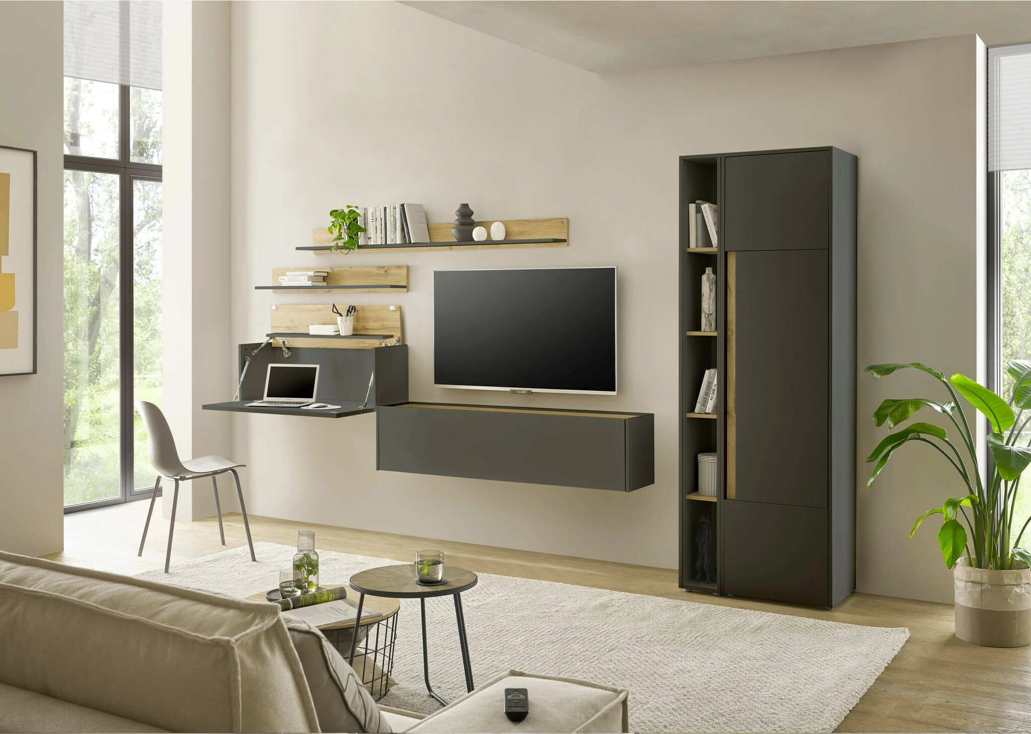 Dollap Vivo 2D
