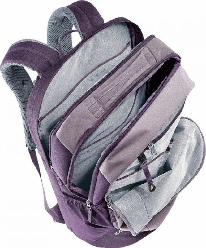Çantë shpine Deuter Giga, lavender-purple