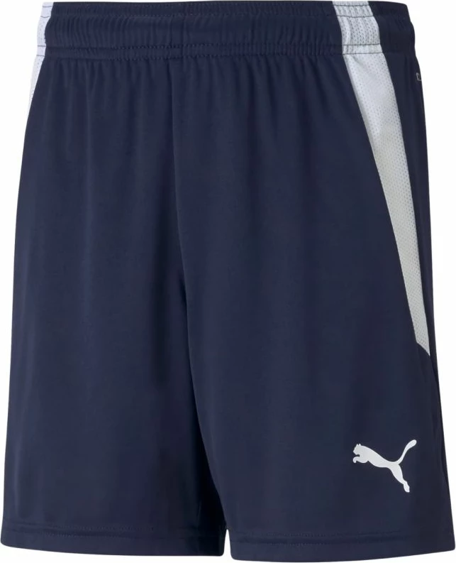 Shorce për fëmijë Puma, navy blue