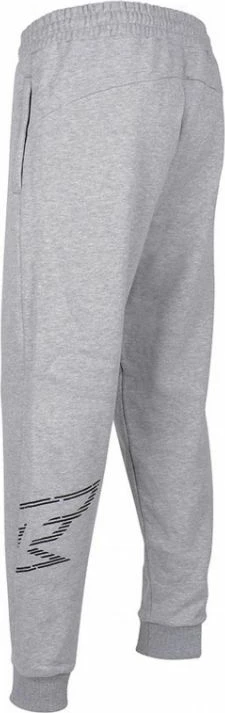 Pantallona sportive për meshkuj Tempish, gri