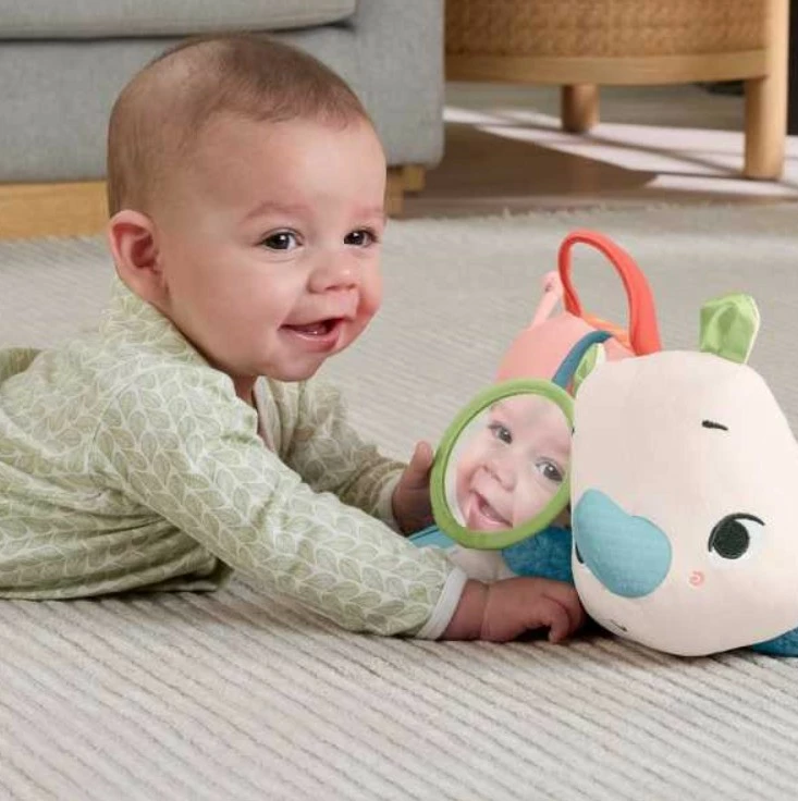 Lodër pelushi Fisher Price Planet Friends Rhinoceros HYR55, shumëngjyrëshe