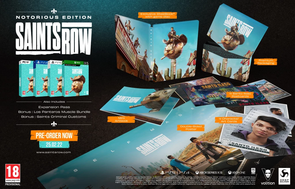 Lojë Xbox Deep Silver Saints Row Notorious Edition për Xbox One & Xbox Series X|S, PEGI 18