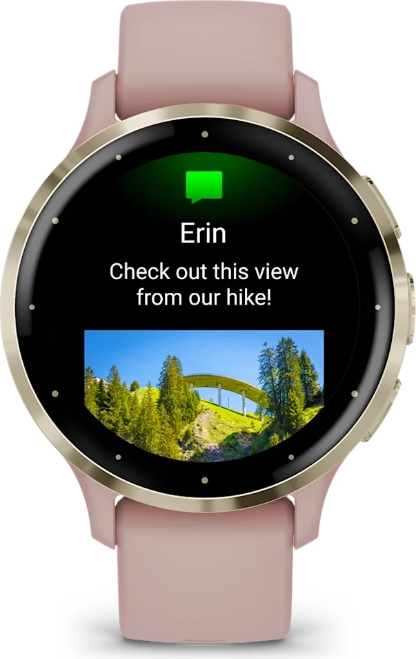 Smartwatch Garmin Venu 3S Dust Rose & Soft Gold, 41 mm