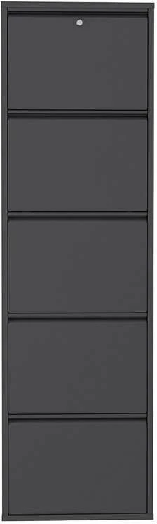 Dollap këpucësh metalik, 5 pjesë, ngjyrë antracit, Skye Decor