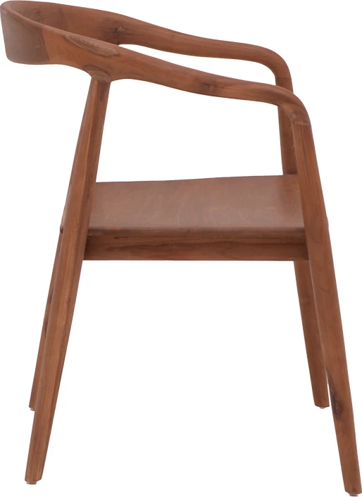 Karrige Zonge, skelet dru tik, ngjyrë arre, 54x57x76cm