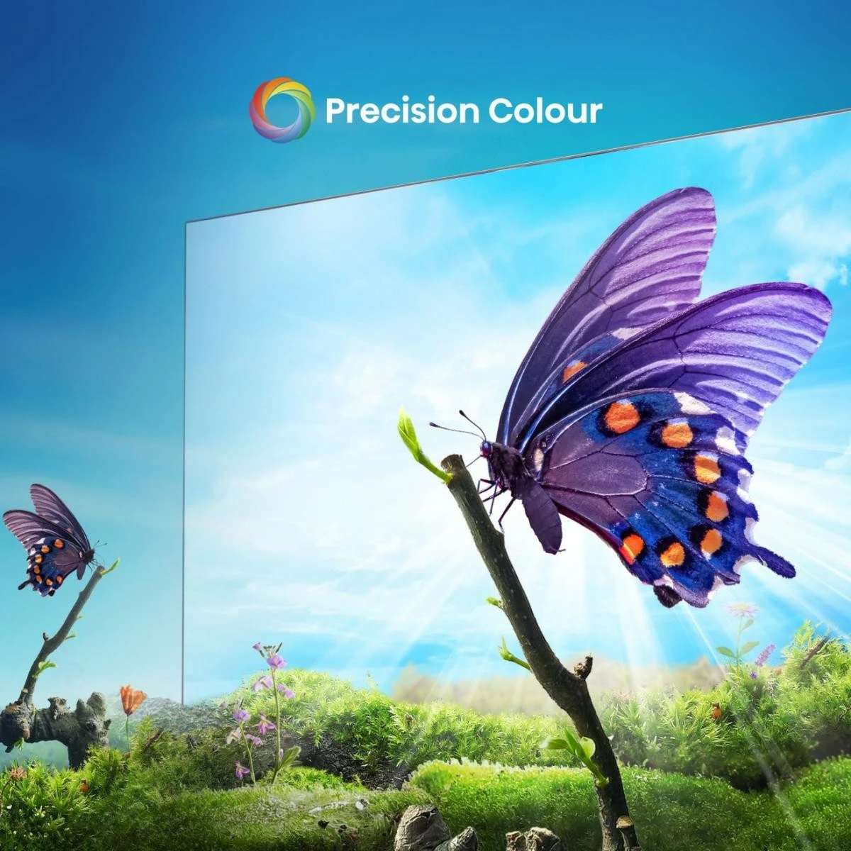 Televizor Hisense 65A6N, UHD 4K, Smart TV, Wi-Fi, LED, i zi