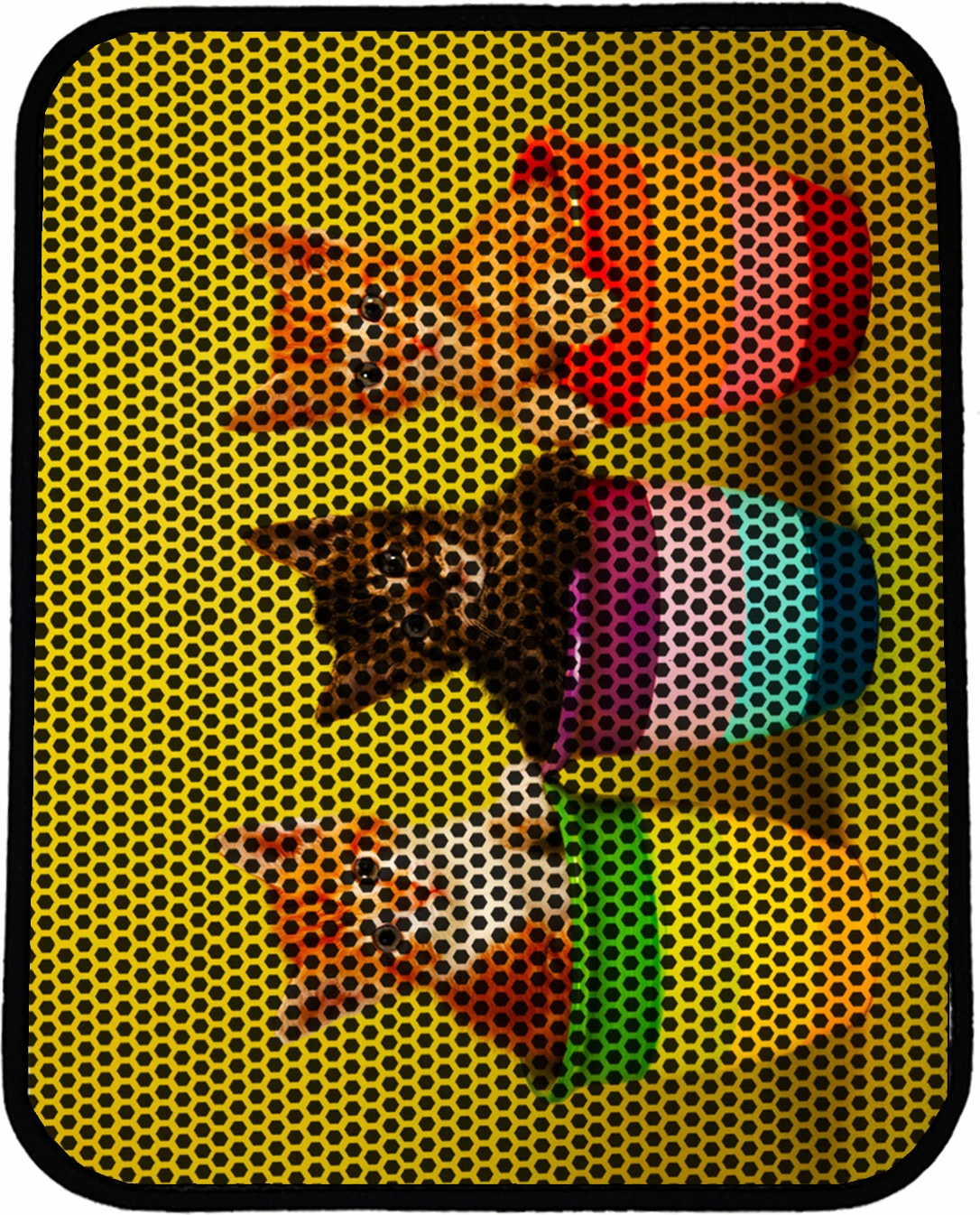 Tapet për rërë mace, shumëngjyrësh, Paws & Whiskers, Nrszn0137, 45x60cm