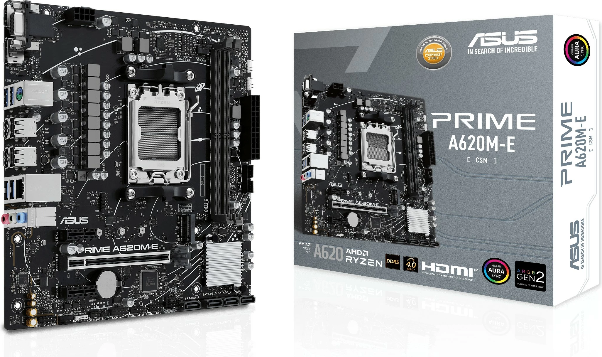 Pllakë amë ASUS PRIME A620M-E-CSM, AMD, Socket AM5, DDR5-SDRAM, 96 GB