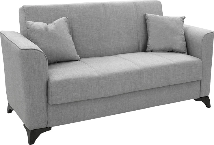 Divan dy vendesh që bëhet shtrat, Asma, ngjyrë gri, 156x76x85cm