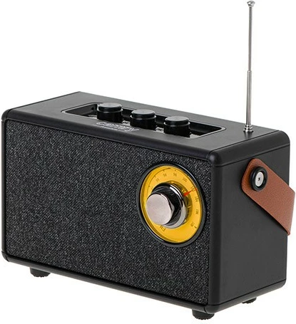 Altoparlant Bluetooth Camry CR1902, FM, USB-C, i zi