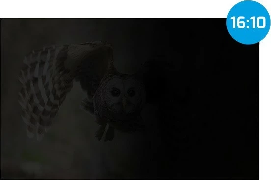 Filtri i privatësisë Natec Owl 16", 16:10, anti-glare