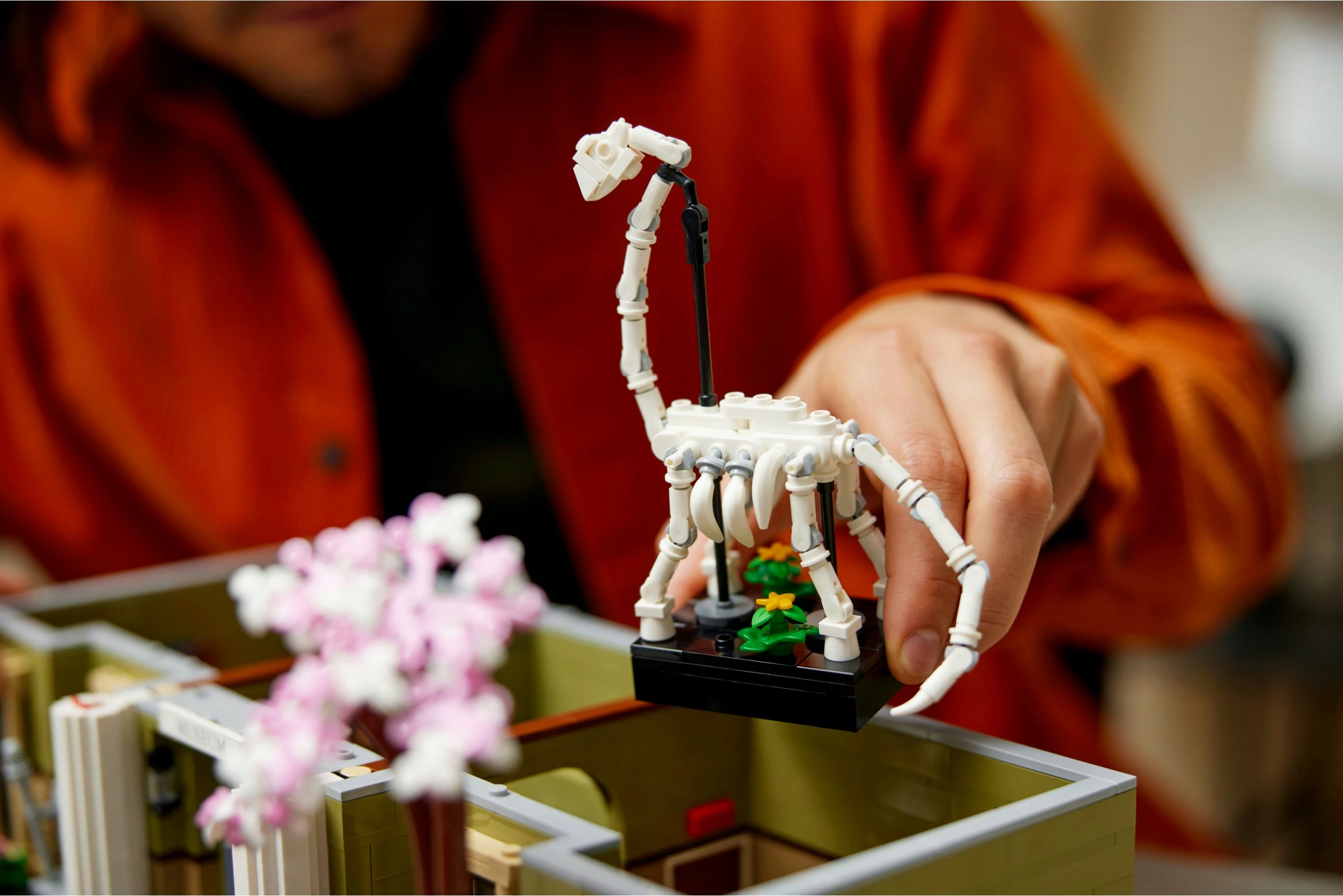 Set ndërtimi LEGO Natural History Museum, 4014 pjesë, për të rritur, plastikë, shumëngjyrësh
