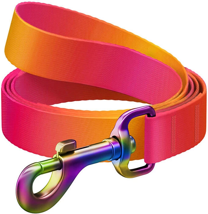 Mbajtës qeni Waudog 46604, rPET, 122 cm, portokalli