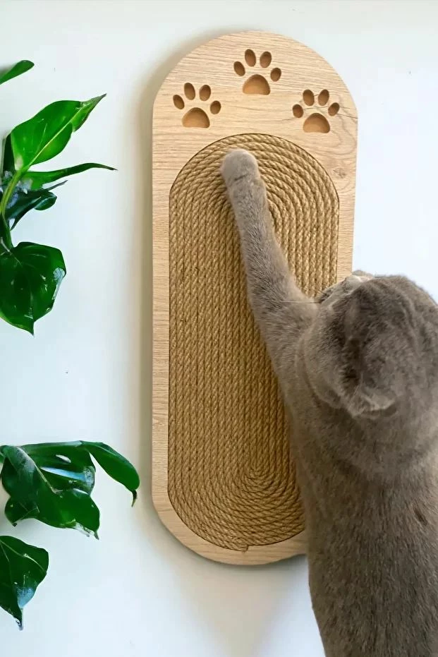 Dru për gërvishtje për mace, ngjyrë bezhë dhe lisi, Paws & Whiskers, Albero Patili, 19x51x1.8cm