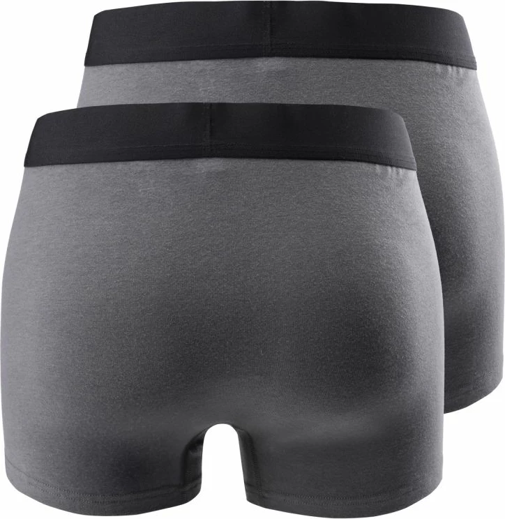 Të brendshme për meshkuj Iguana, gri