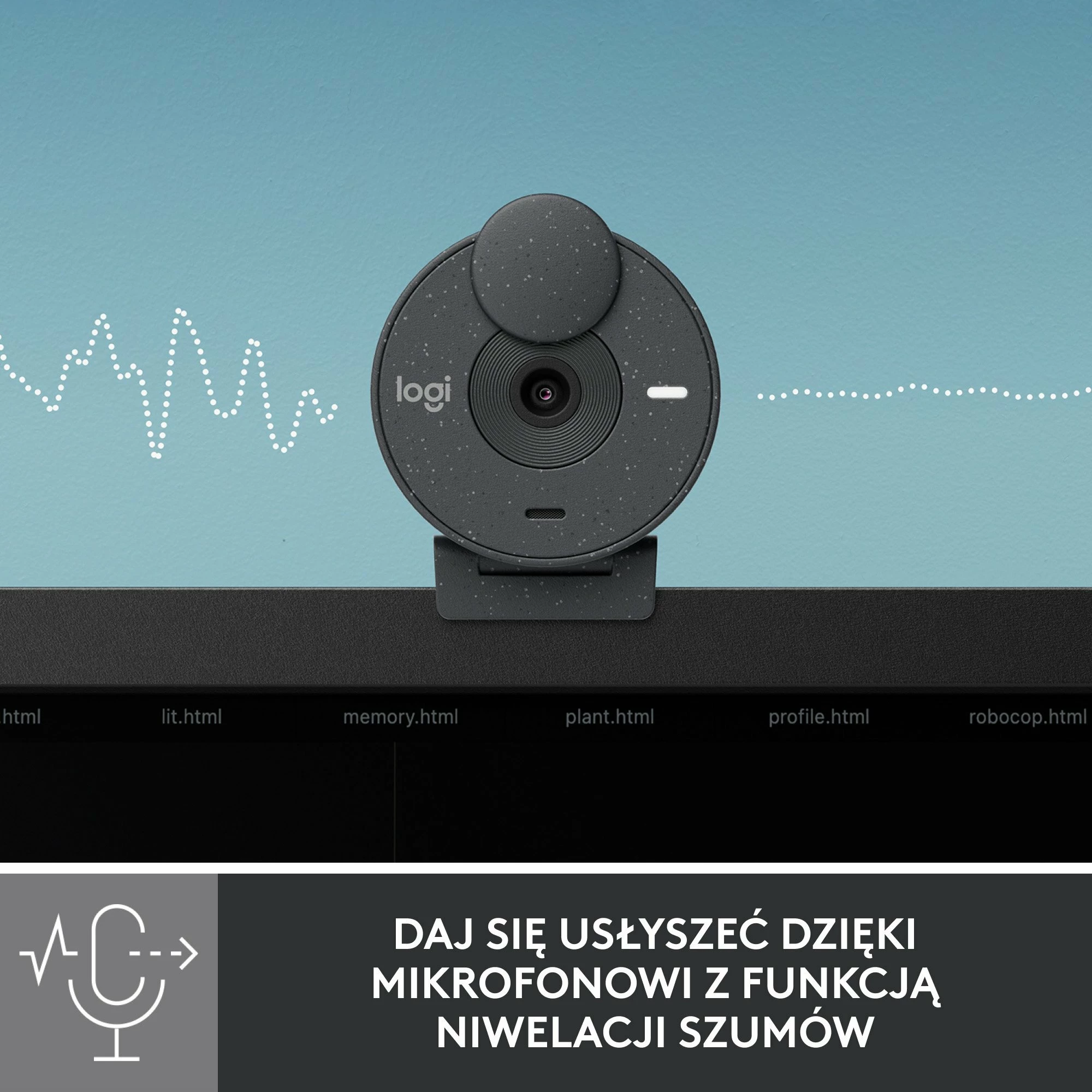 Webkamerë Logitech Brio 300 Full HD 1080p USB-C, Graphite (960-001436)