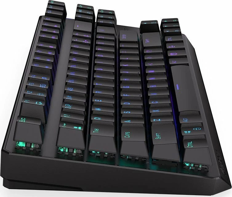 Tastierë mekanike Endorfy Thock TKL Wireless Red (EY5A080), Kailh Box Red, RGB, US layout, e zezë