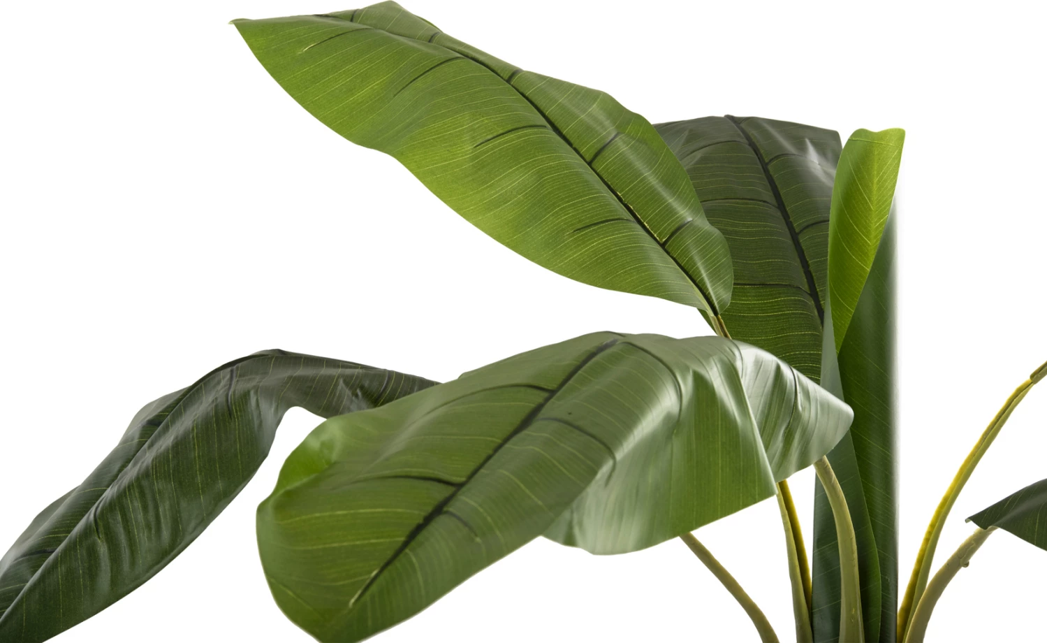 Bimë sintetike dekorative, pemë bananeje, FH7979, 180H cm