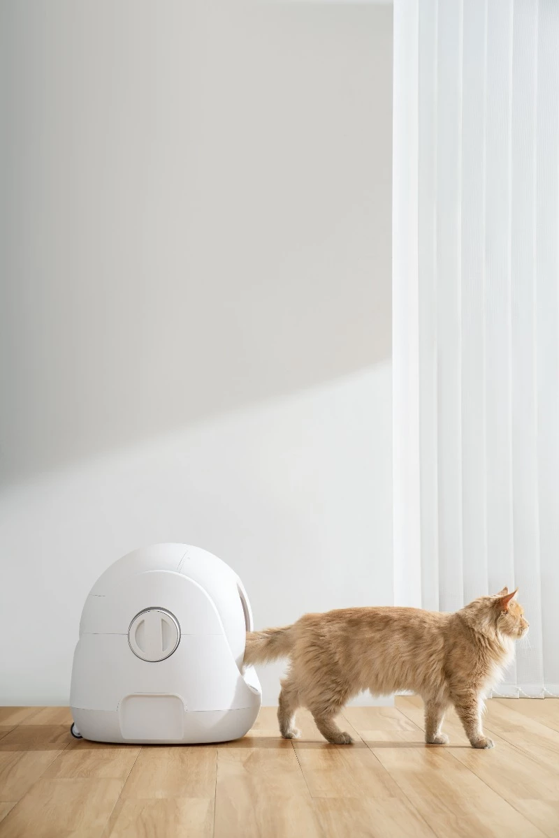 Kuti inteligjente vetëpastruese për rërë mace Catlink Baymax, WiFi, 7 L, e bardhë