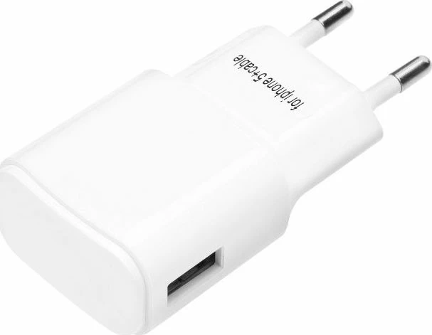 Karikues rrjeti Blue Star TFK-TC-1100B 5W 1x USB-A 1A me kabllo Lightning 1.1 m, i bardhë