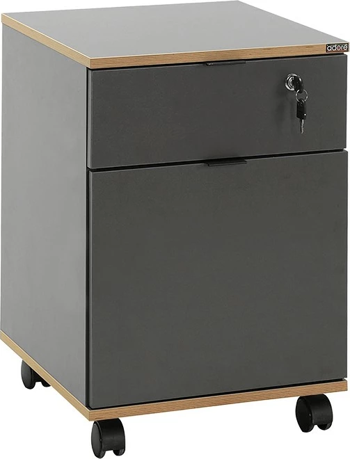 Dollap multifunksional Hanah Home, Rkm-311-Ax-1, antracit dhe lis, 41x61x41cm