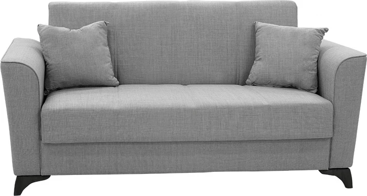 Divan dy vendesh që bëhet shtrat, Asma, ngjyrë gri, 156x76x85cm