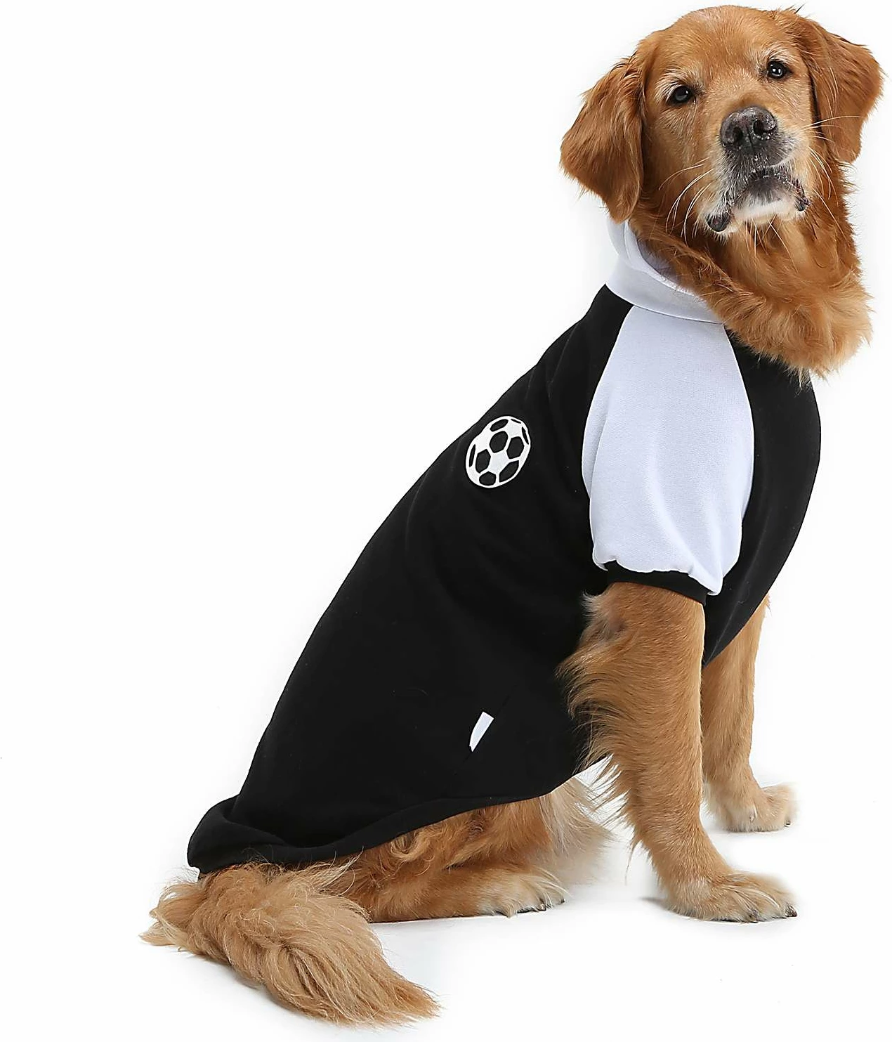Hoodie për qen, ngjyrë e zezë, Paws & Whiskers, Blackballsweat