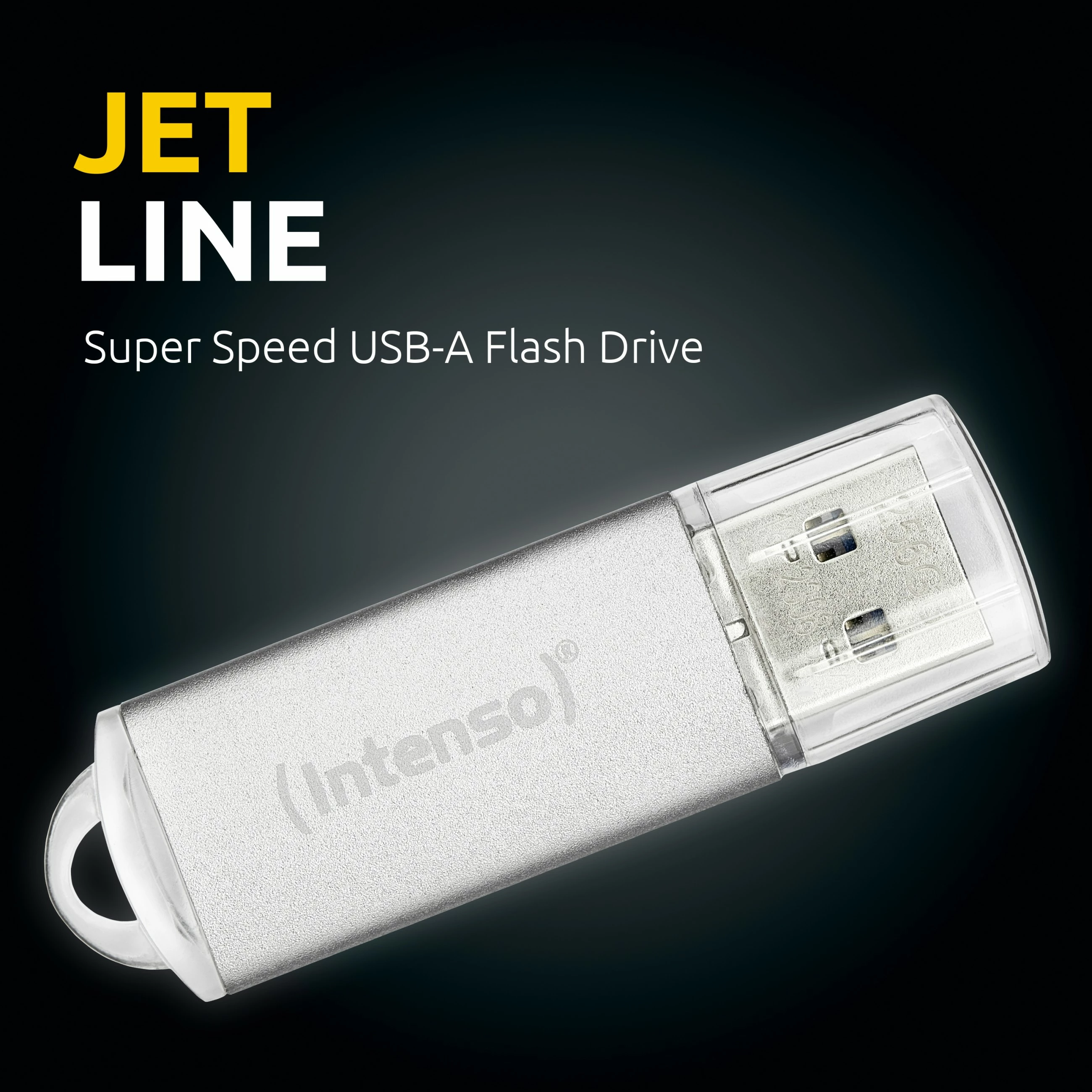 USB flash Intenso MEMORY DRIVE 256GB, USB 3.2, argjendtë