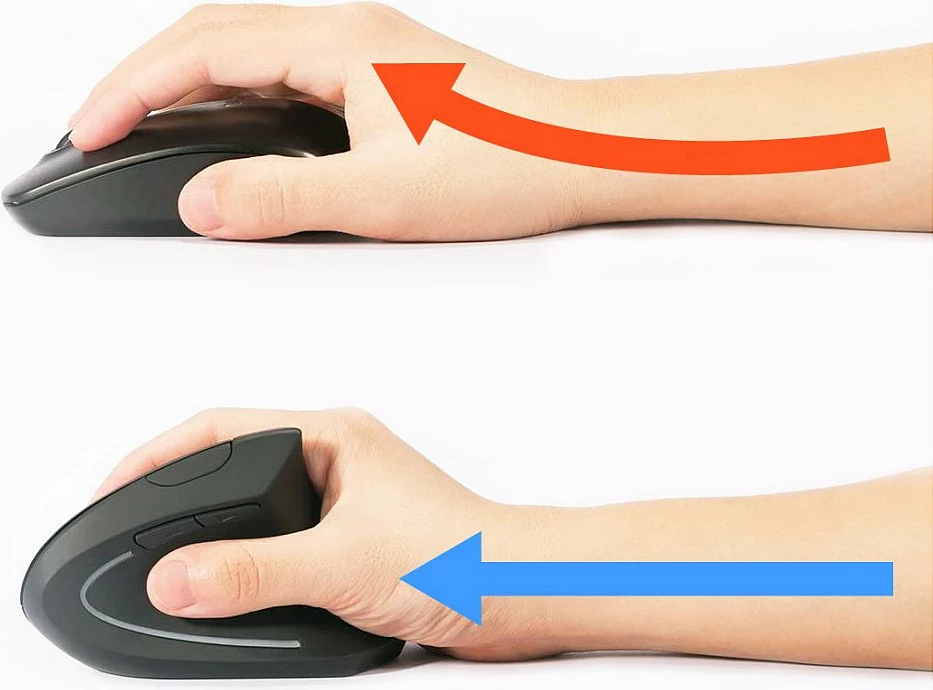 Maus wireless Equip Ergo, 1600 DPI, 5 taste, nano USB, i zi