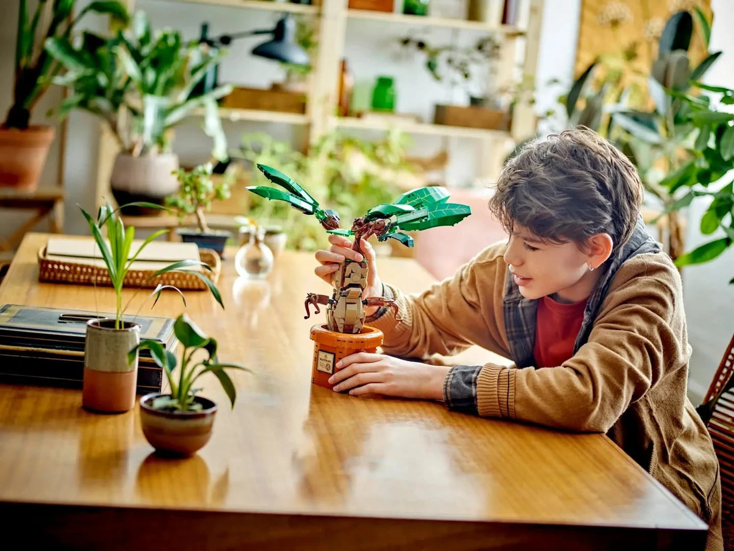 LEGO Harry Potter 76433 Mandrake