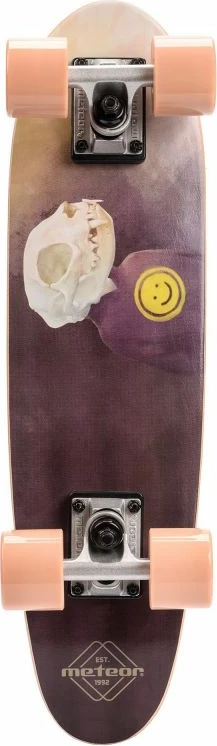 Skateboard Meteor për të gjithë, gri/argjendtë