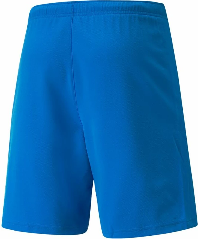 Shorce për Meshkuj Puma teamRISE, Blu Elektrik