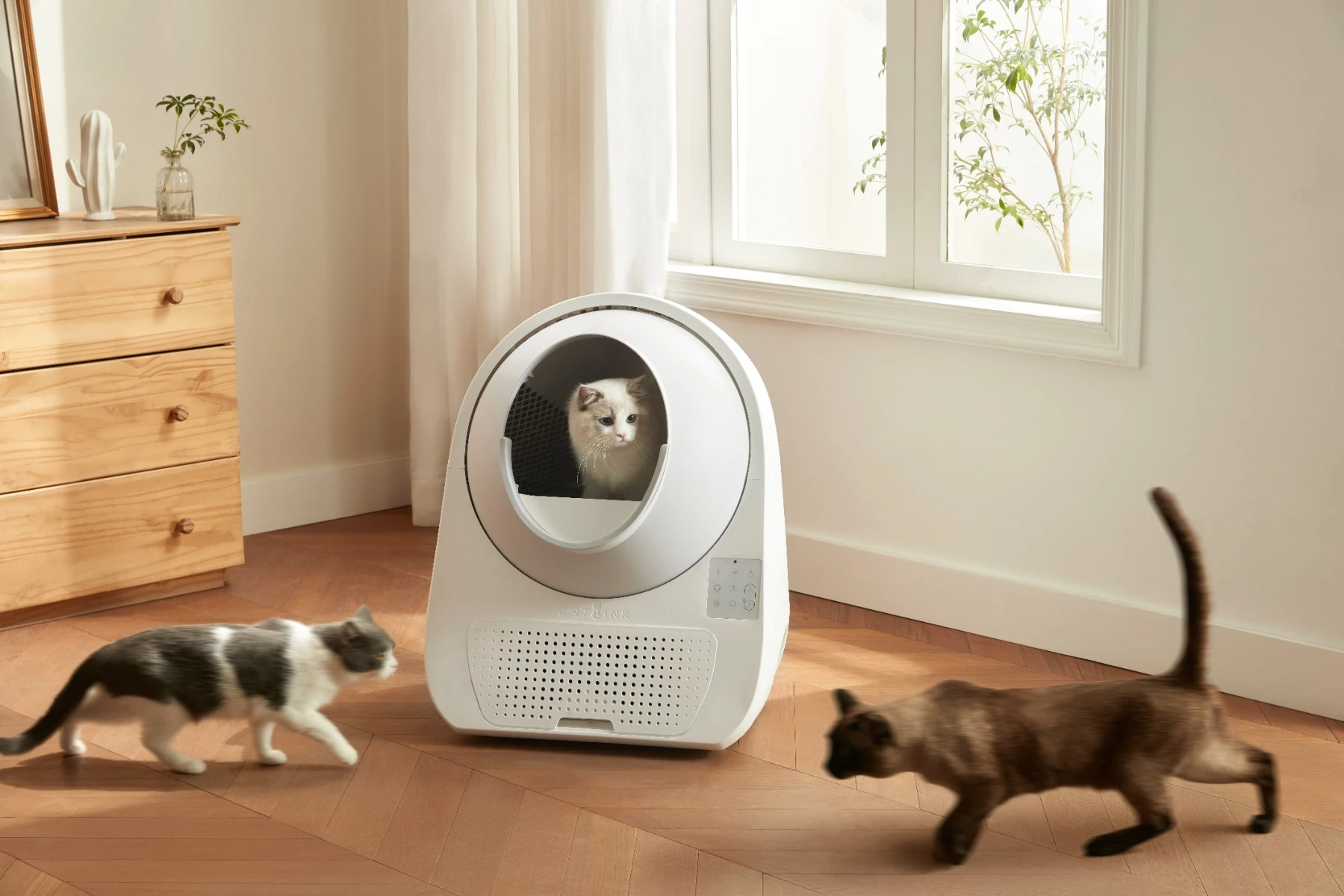 Kuti inteligjente vetëpastruese për rërë maceje Catlink Luxury Pro-X 57 L, 13 L depo mbetjesh, e bardhë, set me 3 qese + 2 filtra