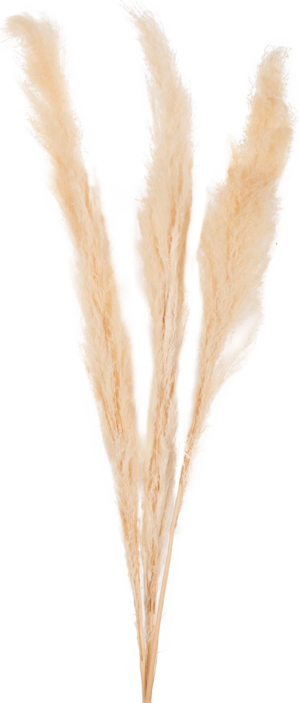 Dekor kallam i tharë, 3 copë, FH7961, 140H cm, ngjyrë e bardhë