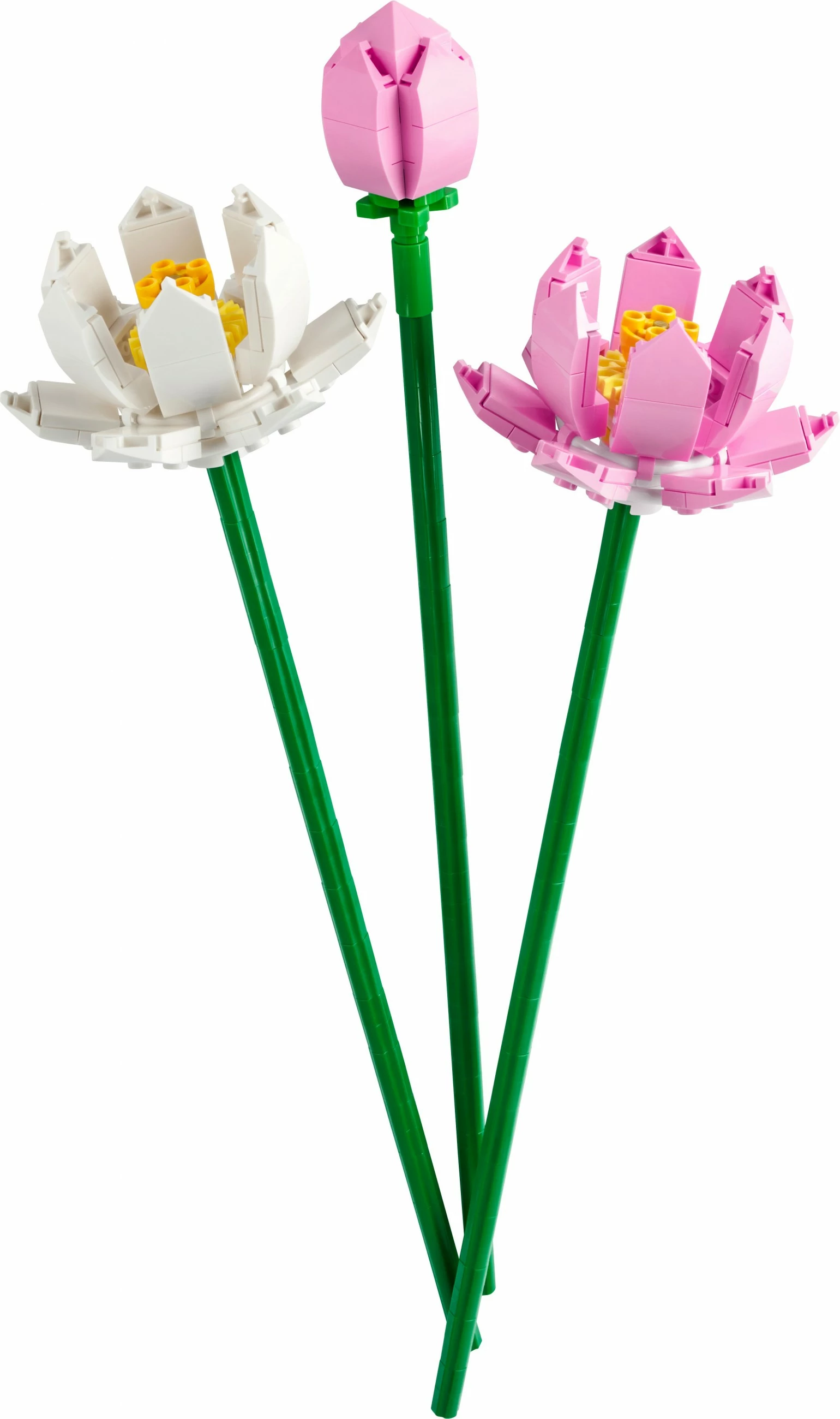 Set ndërtimi LEGO Lotus Flowers, 220 copë, plastikë, shumëngjyrësh
