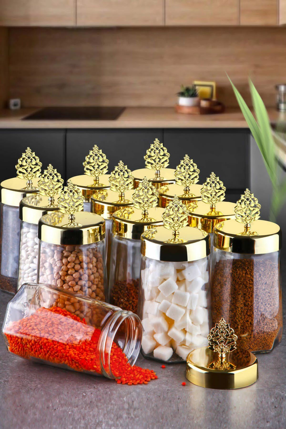 Set kuti për ruajtje (12 copë), Hermia, PLTN115