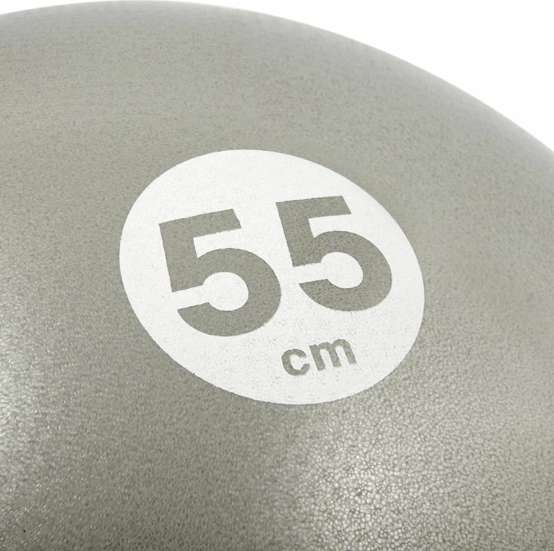 Topi gimnastikor Reebok 55cm, gri/argjendtë