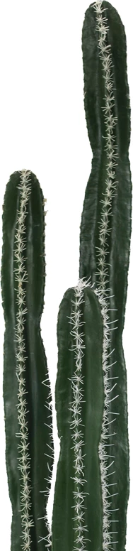 Bimë dekorative kaktus në vazo, Inart, e gjelbër, pp, H155cm