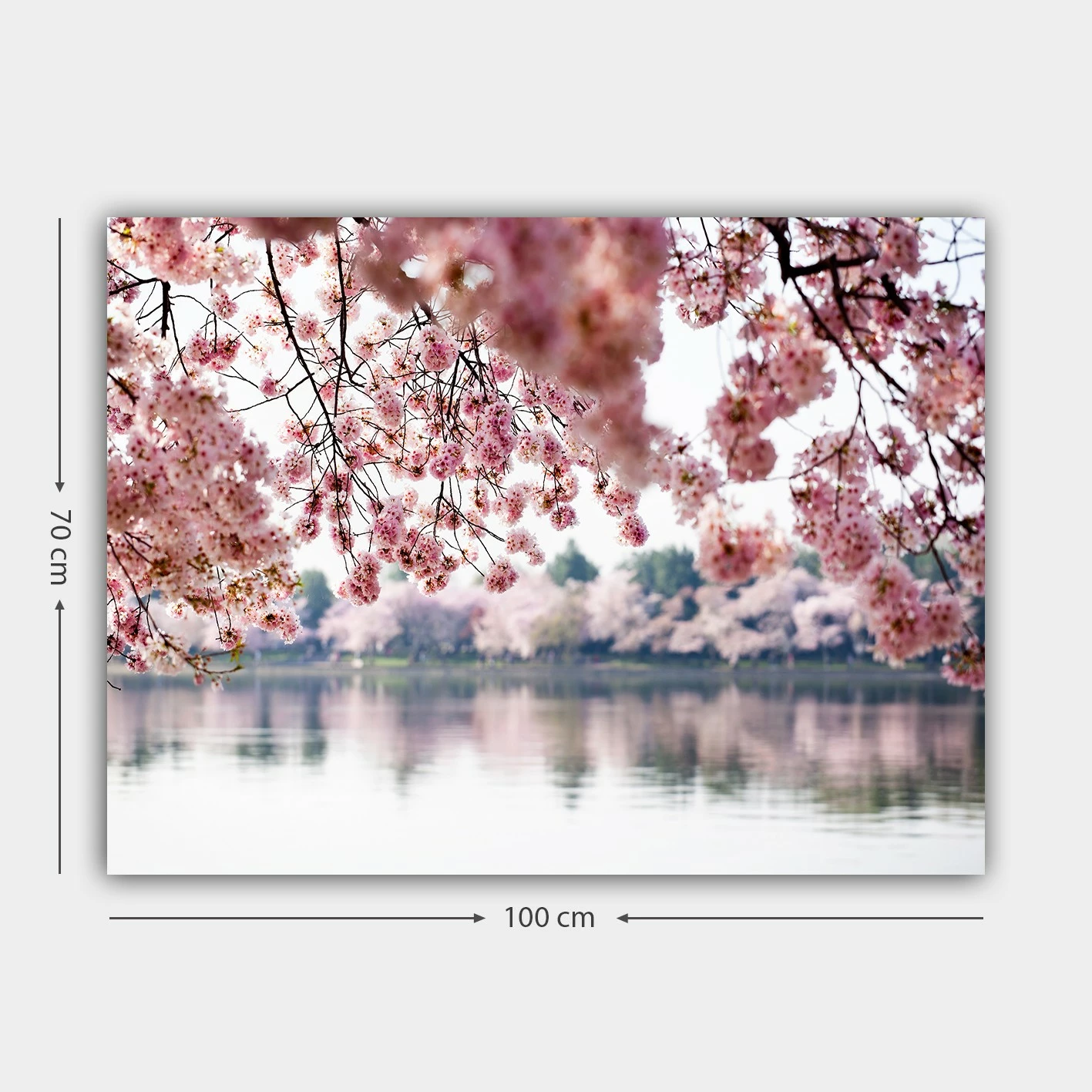 Pikturë dekorative në kanavacë, shumëngjyrëshe, 70x100cm, 102307675_70100