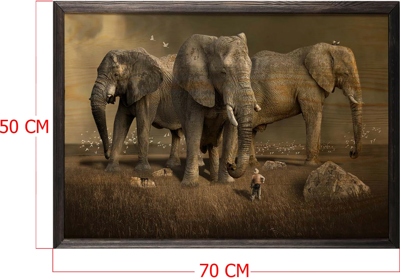 Pikturë dekorative me kornizë druri, elefantë, Wallity, XL