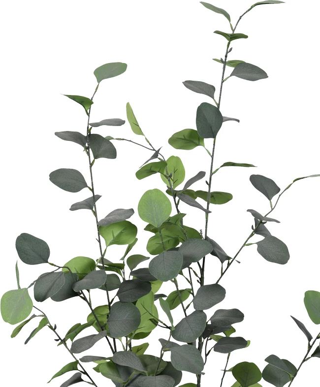 Bimë dekorative eukaliptusi në vazo, jeshile, Inart, H120cm, set prej 4 copash