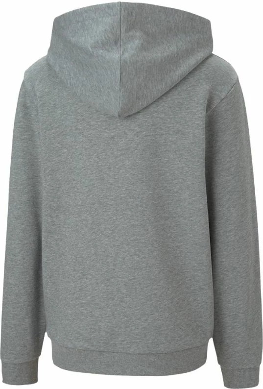 Duks për fëmijë Puma teamGOAL 23 Casuals Hoody Jr, gri