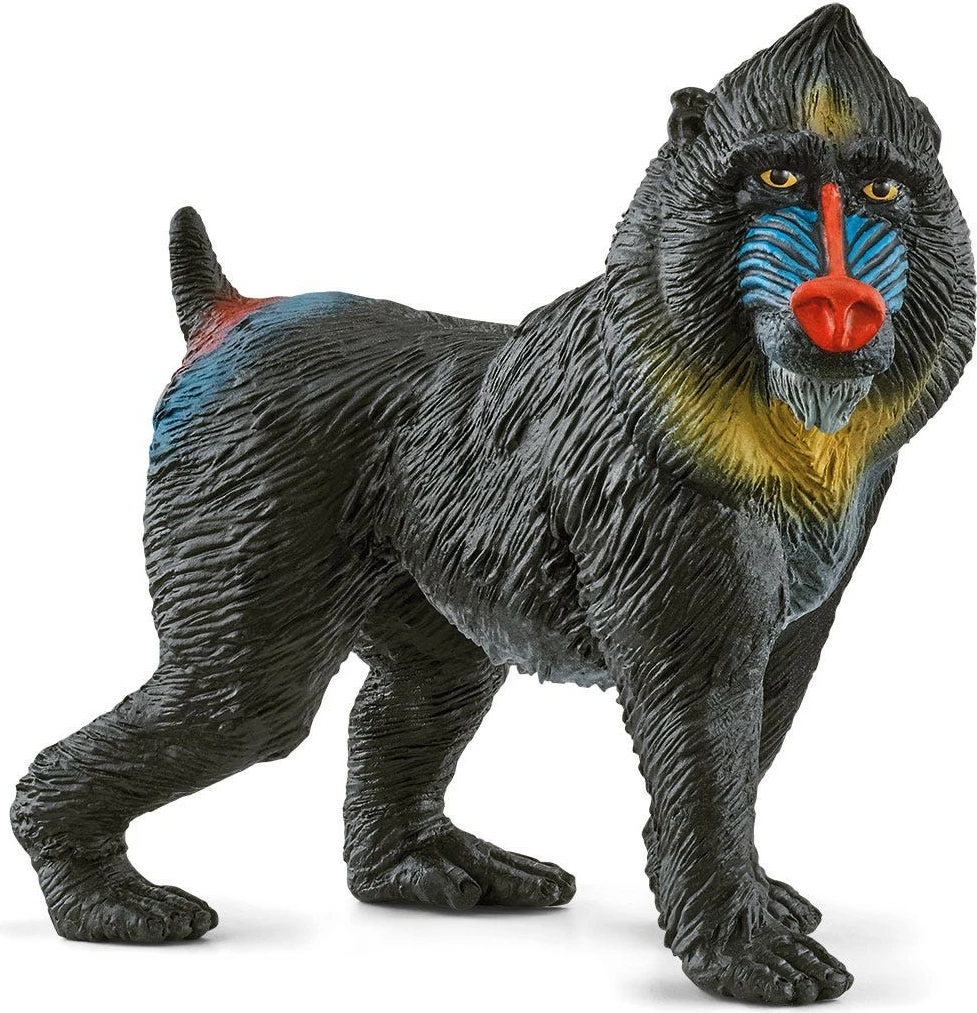 Figurë lodër Schleich WILD LIFE Mandrill, plastikë, për fëmijë, shumëngjyrëshe