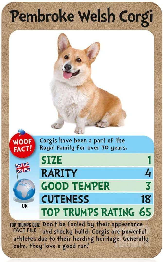 Lojë me karta Winning Moves Top Trumps Dogs, set në kuti plastike