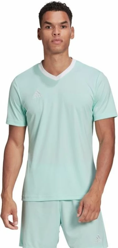 Maicë adidas për meshkuj, e gjelbër