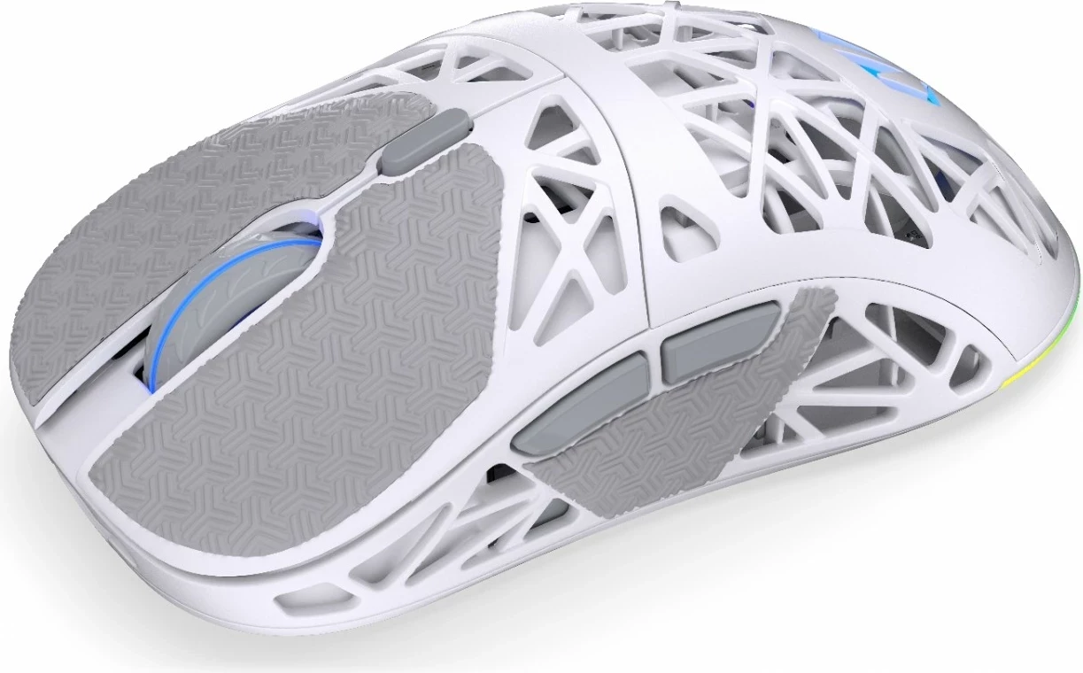 Maus wireless Endorfy LIV Plus Onyx, RGB, i bardhë