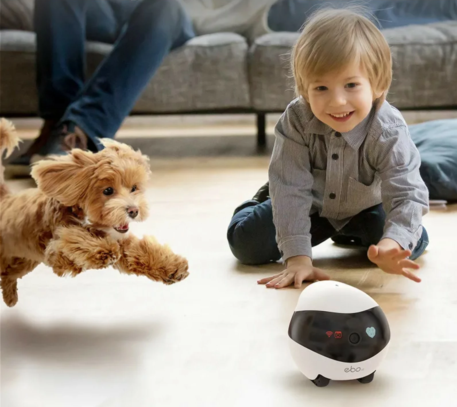 Robot për kafshë Enabot EBO SE, kamera 1080p, WiFi, app, natës, lazer