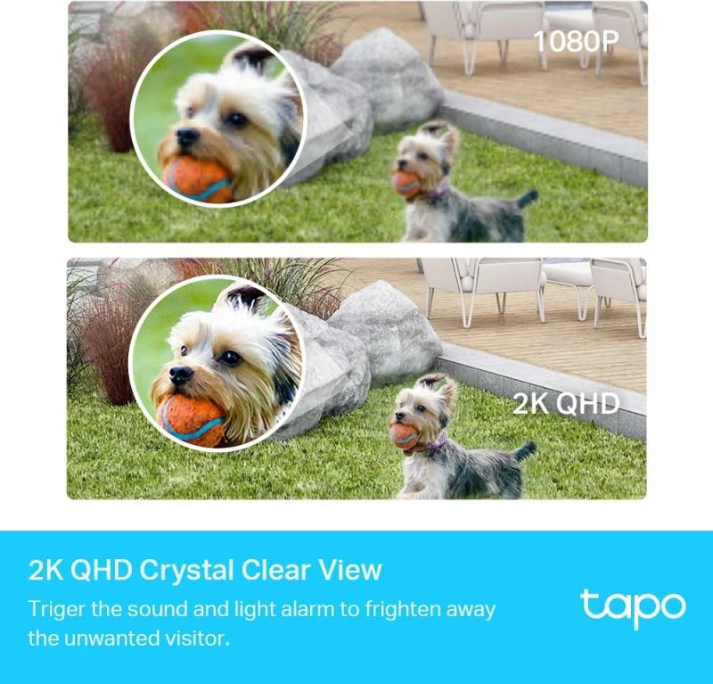 Kamerë rrjeti, TP-Link Tapo C420, 4MP, bardh e zezë