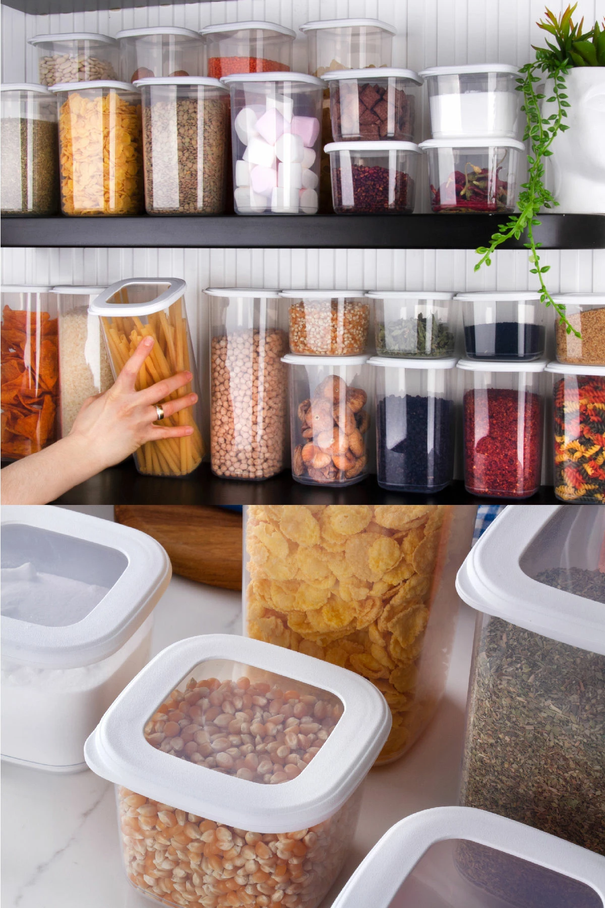 Set kuti për organizim (12 copë), Hermia, BNMPOLYWS12-51217